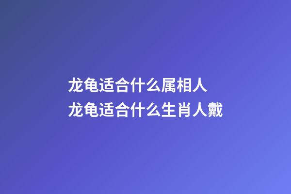 龙龟适合什么属相人 龙龟适合什么生肖人戴-第1张-观点-玄机派